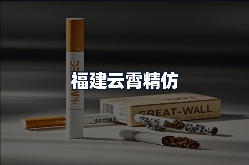 福建云霄精仿