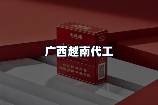 广西越南代工